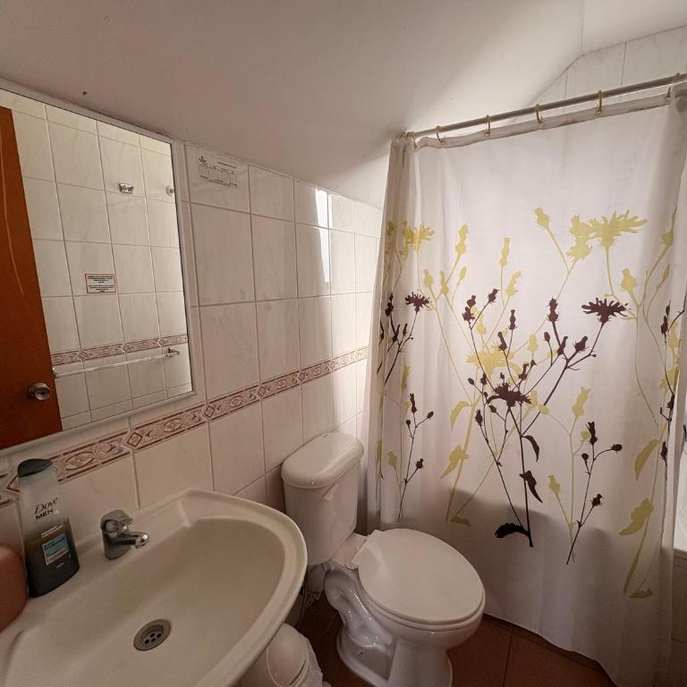 Cabañas Villa Alejandra - Double Room with Park View - 4
