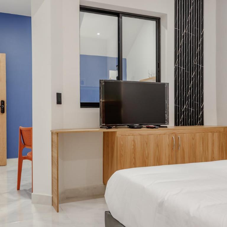 NOK Home Tree Living - Apartamento de 1 dormitorio - 3