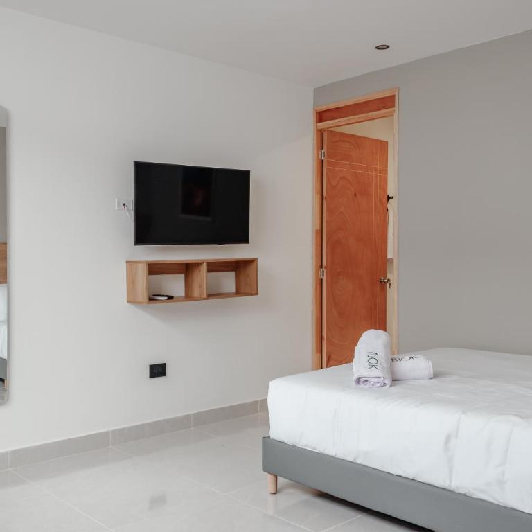 NOK Home Tree Living - Apartamento de 1 dormitorio - 6