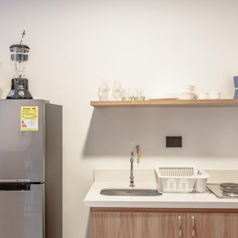 NOK Home Tree Living - Apartamento de 1 dormitorio - 6
