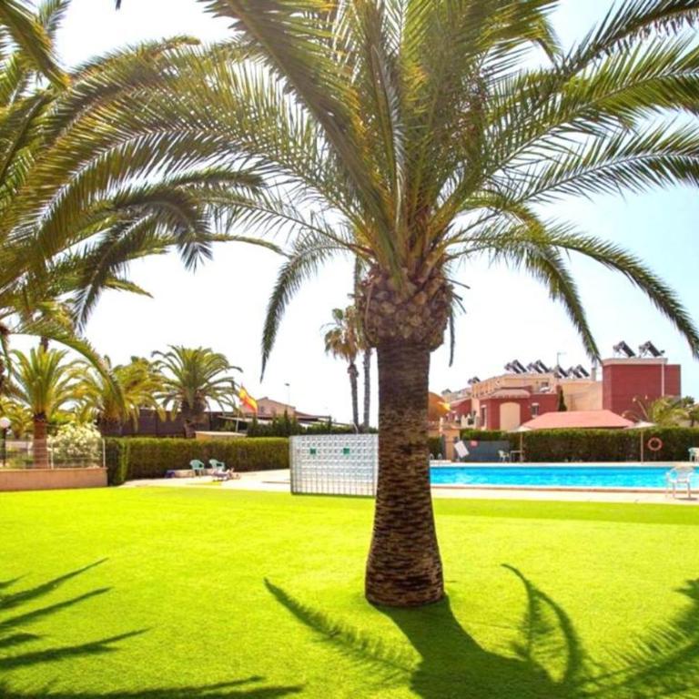 Apartamento Paradise La Mata - Apartamento de 2 dormitorios - 3