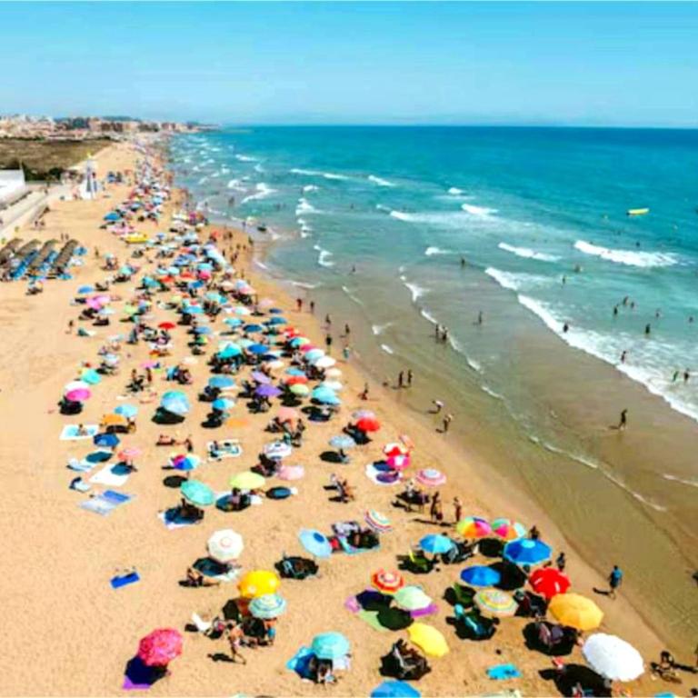 Apartamento Paradise La Mata - Apartamento de 2 dormitorios - 21