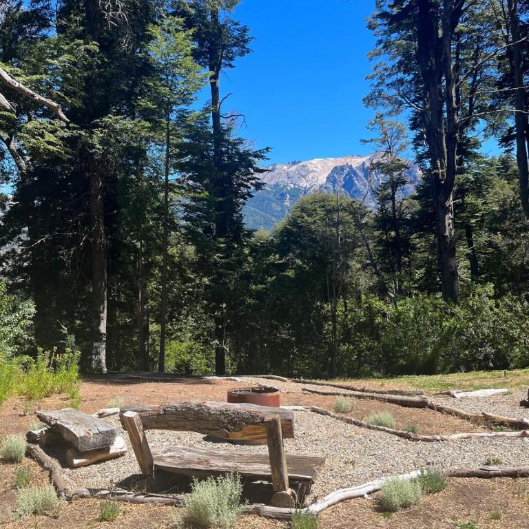 The little house of the forest - Chalet de 1 dormitorio - 8