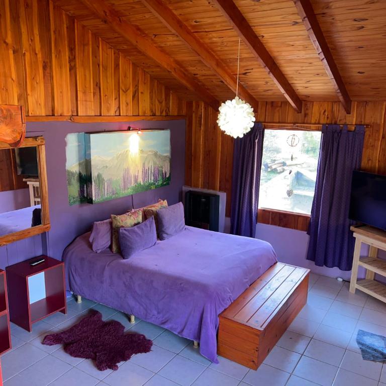 Complejo Peuma Hue - Studio - 1