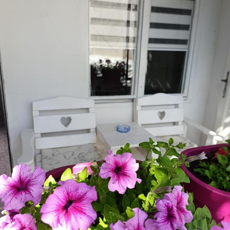 ŠEHER Kuća - Apartman sa 2 Spavaće Sobe - 4