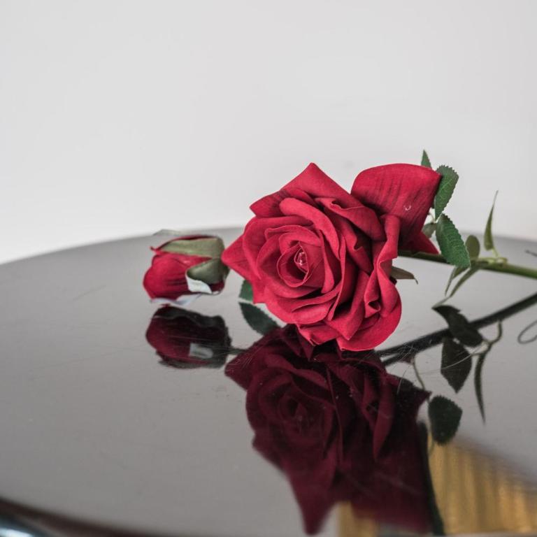 Roma Design Rooms San Giovanni Colosseo Area - Appartement 2 Chambres - 17