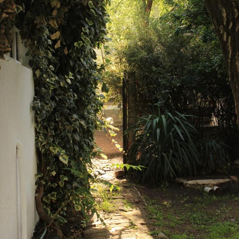 Casa Nube1 - Casa de 3 dormitorios - 24