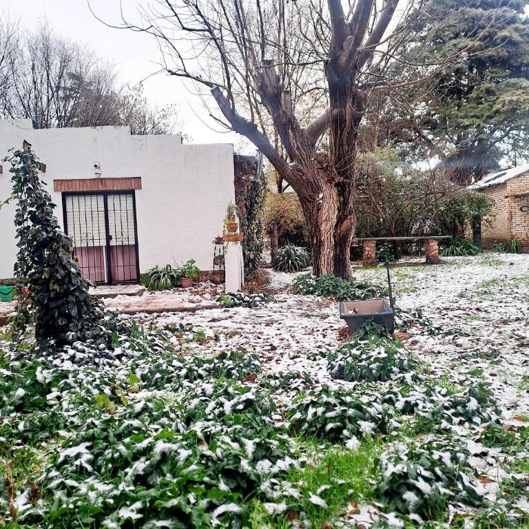 Casa Nube1 - Casa de 3 dormitorios - 18