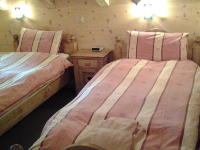 Chalet Suisse Bed and Breakfast - Habitación Doble con vistas - 2 camas - 1