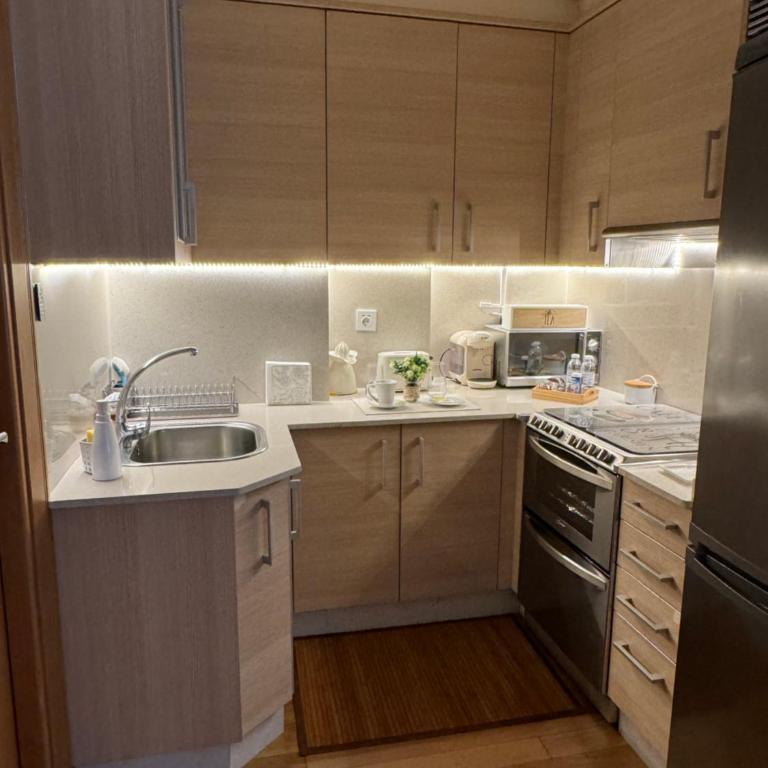 Centrica Suite de Lujo Parking Incluido - Apartamento de 1 dormitorio - 13