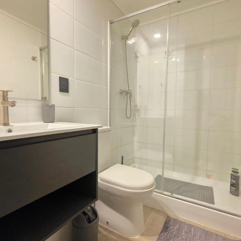 Nuevo Dpto en el corazón de Santiago - One-Bedroom Apartment - 4