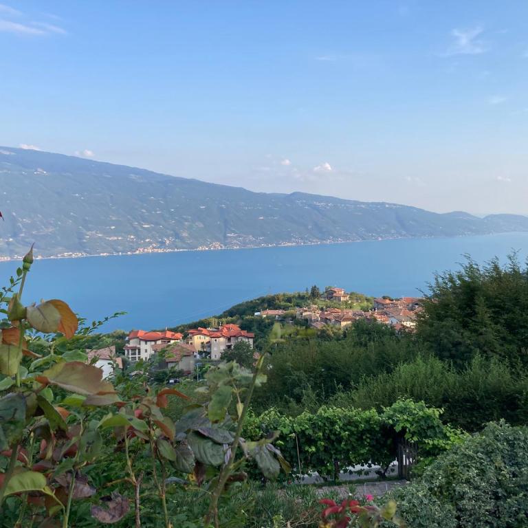 Casa del Lampone - Bungalow mit Gardaseeblick - Appartamento con 2 Camere da Letto - 57