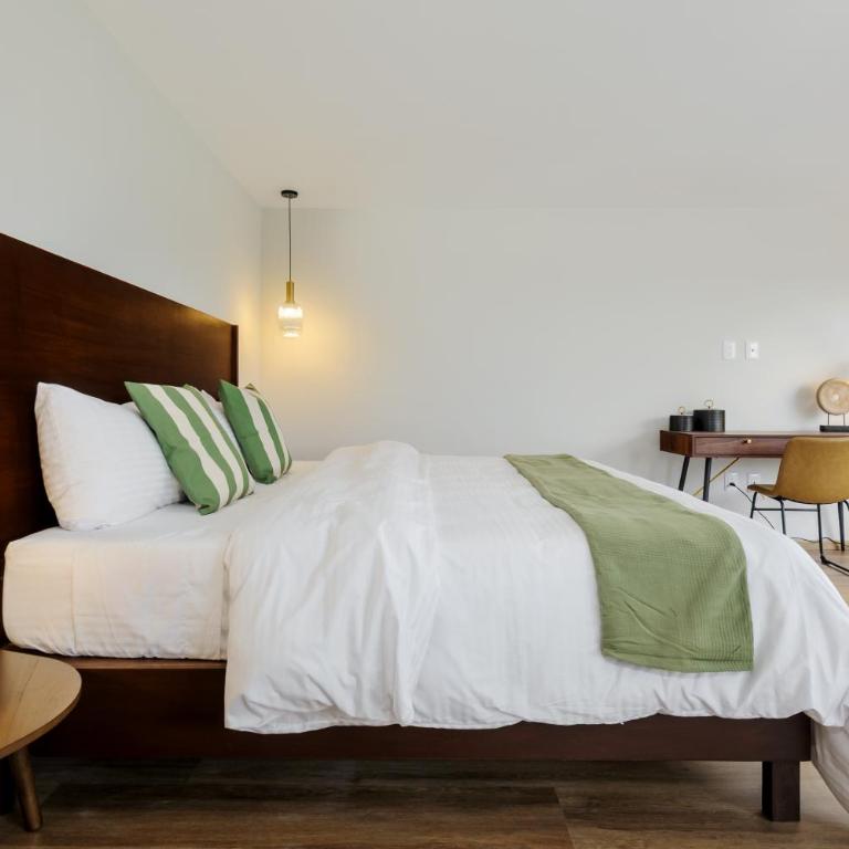 Zaterra, A Tranquil Oasis in Roma Norte - Estudio Deluxe con cama grande - 4