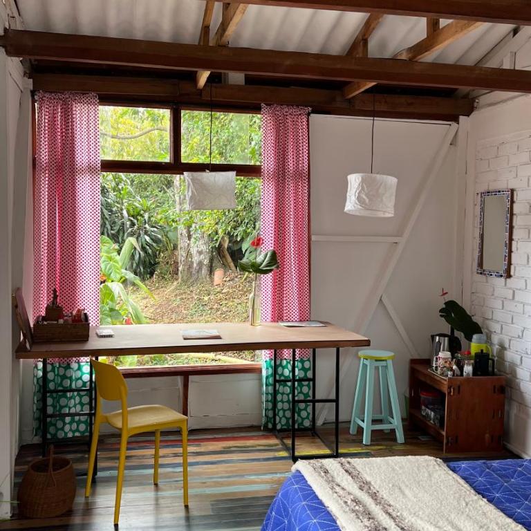 La casa de Tikal - Standard Studio - 2