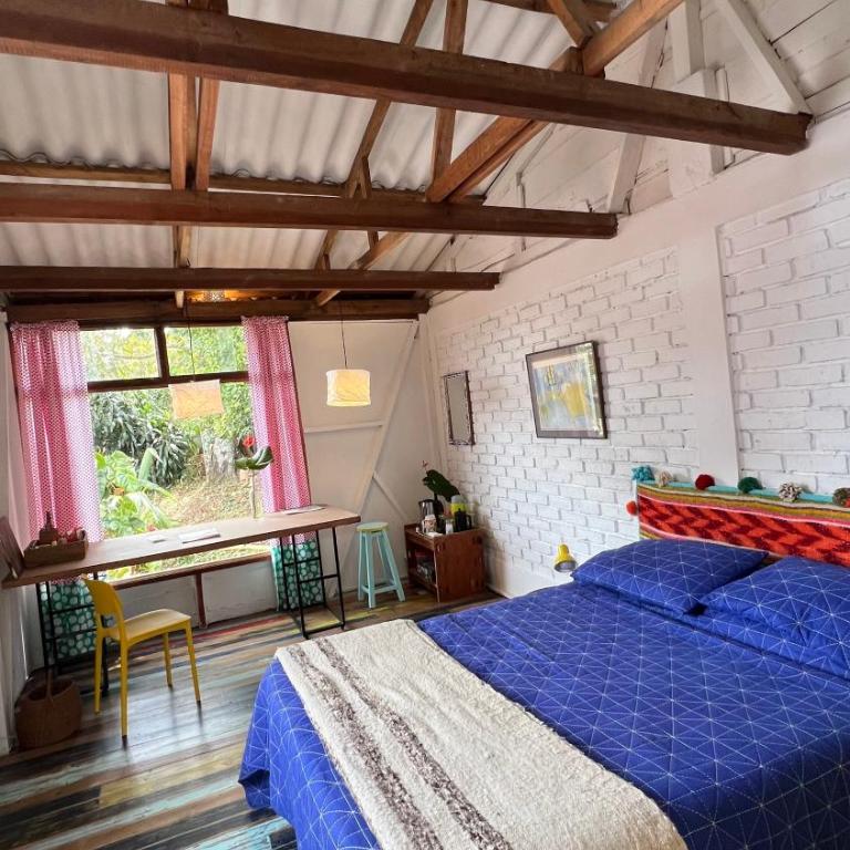 La casa de Tikal - Standard Studio - 7