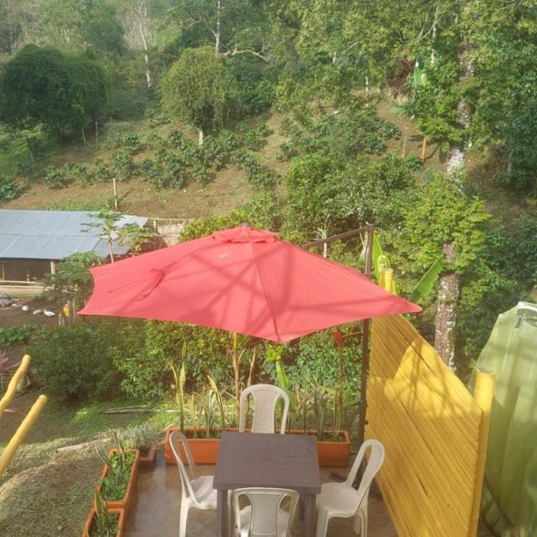 Alojamiento natural rural LOS NOGALES, apartamentos tipo glamping, avistamiento de aves, paisaje cafetero - Apartamento de 1 dormitorio - 9