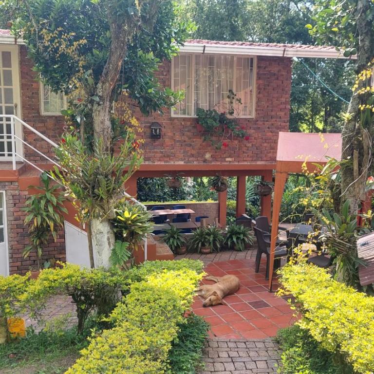 Alojamiento natural rural LOS NOGALES, apartamentos tipo glamping, avistamiento de aves, paisaje cafetero - Apartamento de 1 dormitorio - 13