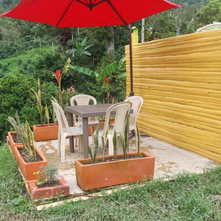 Alojamiento natural rural LOS NOGALES, apartamentos tipo glamping, avistamiento de aves, paisaje cafetero - Apartamento de 1 dormitorio - 20
