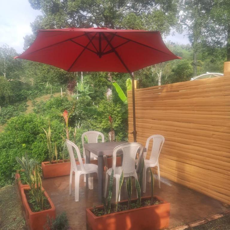 Alojamiento natural rural LOS NOGALES, apartamentos tipo glamping, avistamiento de aves, paisaje cafetero - Apartamento de 1 dormitorio - 22