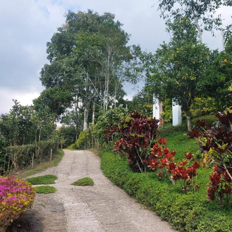 Alojamiento natural rural LOS NOGALES, apartamentos tipo glamping, avistamiento de aves, paisaje cafetero - Apartamento de 1 dormitorio - 25
