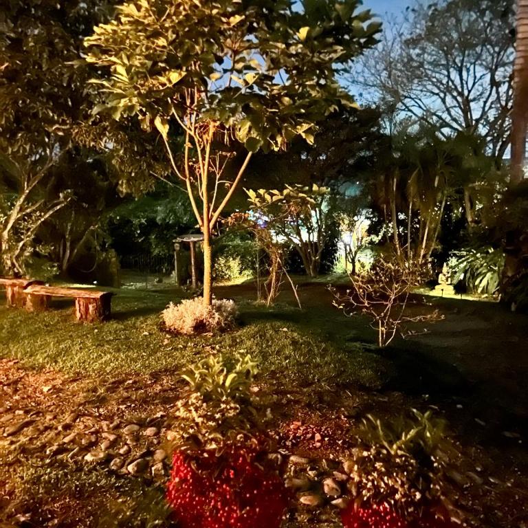 La casa de Tikal - Two-Bedroom House - 29