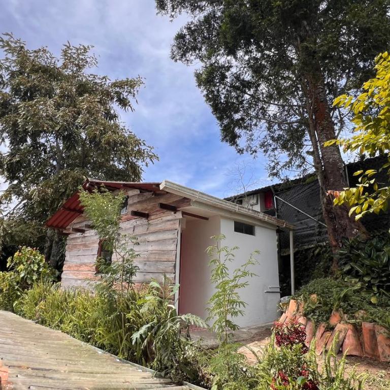 La casa de Tikal - Standard Studio - 24