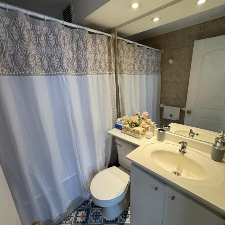 Departamento Santiago Centro Barrio Bellas Artes - One-Bedroom Apartment - 3