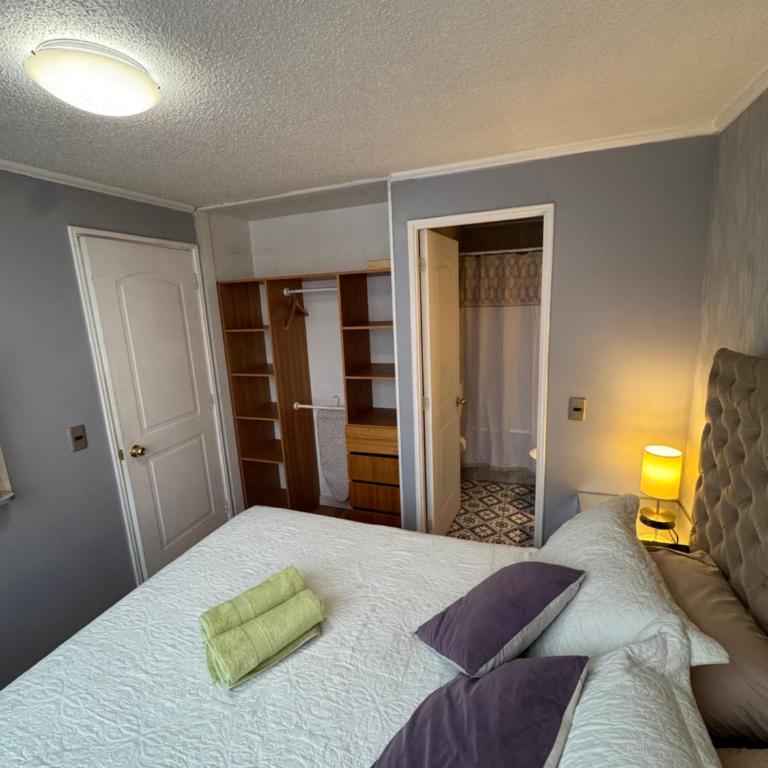Departamento Santiago Centro Barrio Bellas Artes - One-Bedroom Apartment - 6