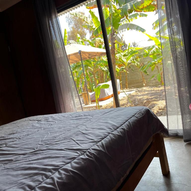 Cabaña Yan-Yan, refugio natural en valle de Azapa - Arica - Two-Bedroom Bungalow - 18