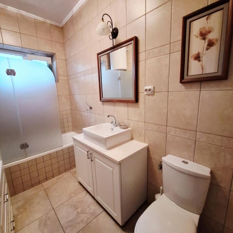 City House Apartments - Deluks Apartman s 1 Spavaćom Sobom i Pogledom na Vrt - 4