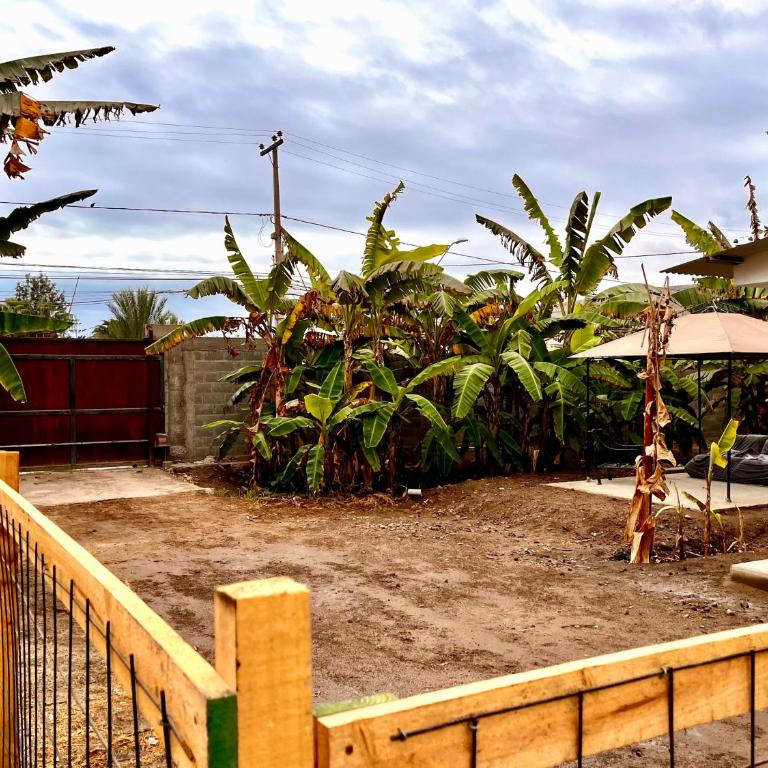 Cabaña Yan-Yan, refugio natural en valle de Azapa - Arica - Two-Bedroom Bungalow - 38