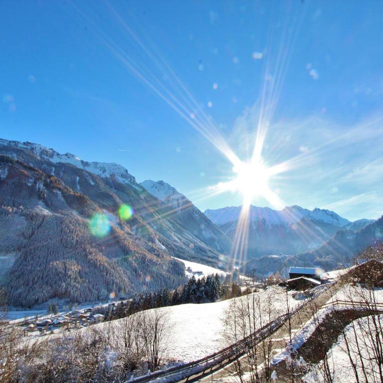 Chalet in Wald near Zillertal Ski Area - Appartement 3 Chambres - 20
