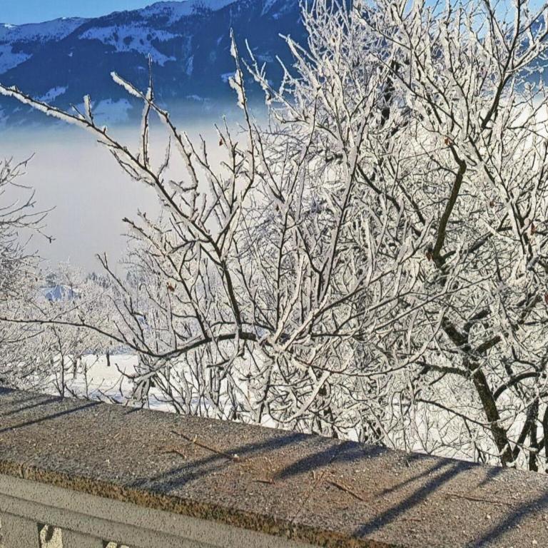 Apartment in Fügenberg near Ski Slopes - Apartment mit 3 Schlafzimmern - 18