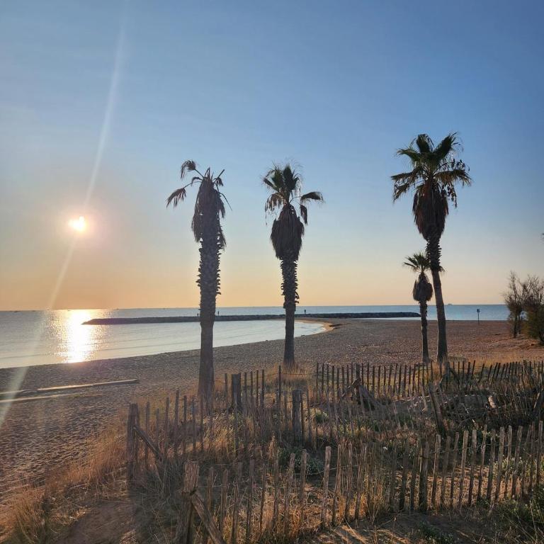 Studio Azur, terrace, parking, 10min from sea - Apartamento - 13