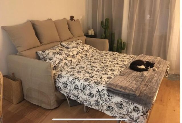 Petit cocon lillois:Cheminée & jardin - Studio with Sofa Bed - 8