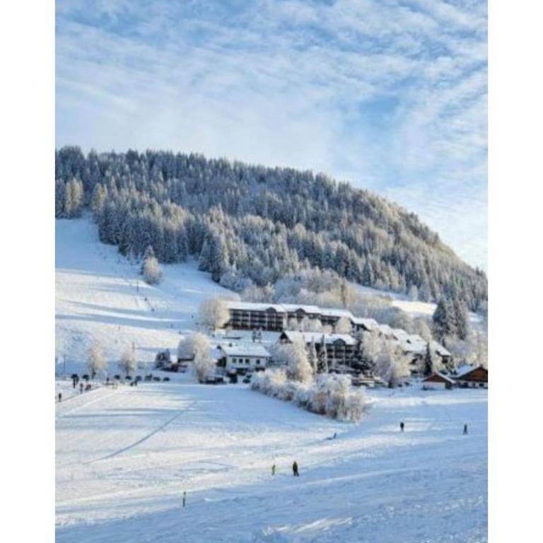 Ferienpark Oberallgäu - FeWo "Klatschmohn" Hallenbad & Sauna & WLAN - One-Bedroom Apartment - 60