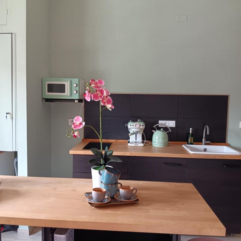 my house intero appartamento in stazione - Appartamento con 1 Camera da Letto - 2