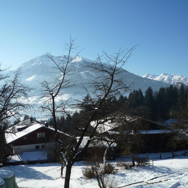 Flat in Mittersill near Hohe Tauern Ski Slopes - Apartment mit 1 Schlafzimmer - 19