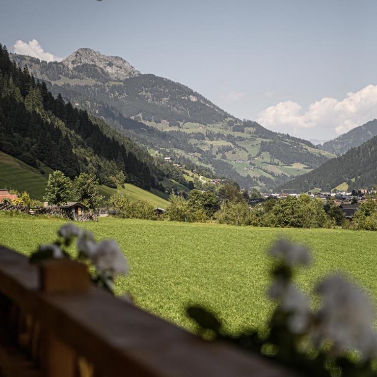 Naturhof eibl - Chalet - 45
