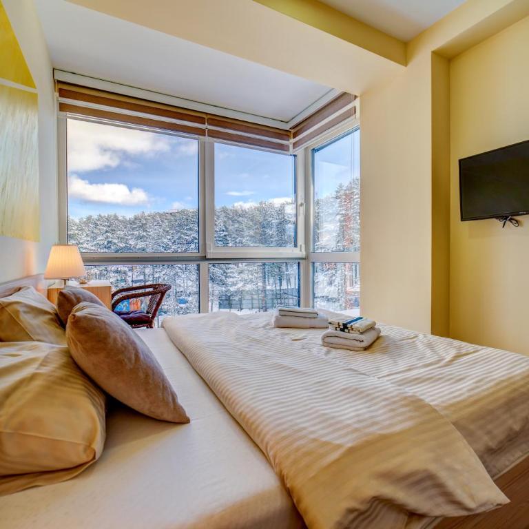 Gondola Experience - One-Bedroom Apartment - 4
