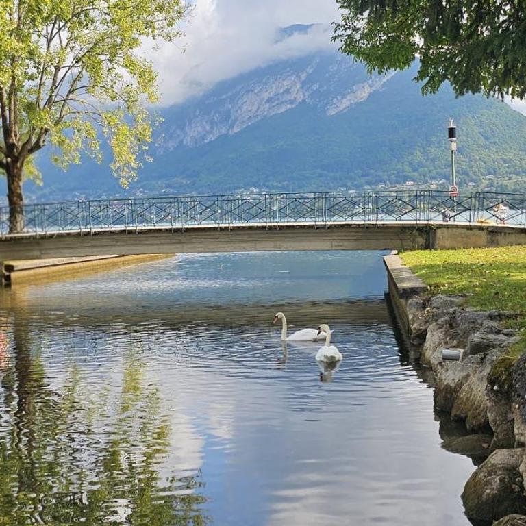 Vue montagnes, à 5 mn du lac et de la piste cyclable,lit King size, Park gratuit - Appartement 1 Chambre - 27