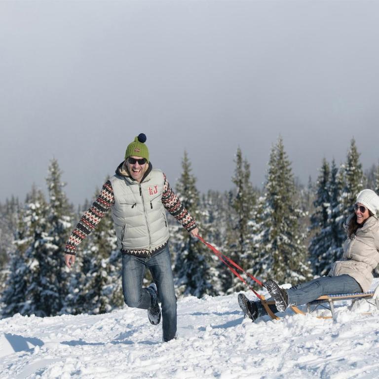 Chalet in Kalchberg near Klippitztörl Ski - Ferienhaus mit 2 Schlafzimmern - 37