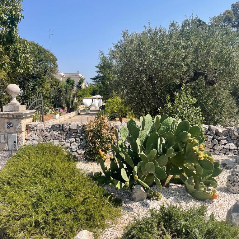 Trullo Ronzicchio - Casa con 1 Camera da Letto - 30