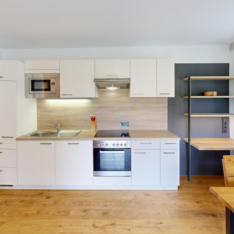 Appartements Am Achensee - Apartment im Erdgeschoss mit Garten- und Bergblick - 10
