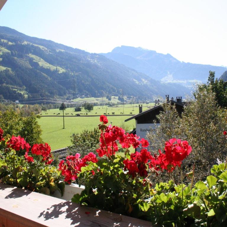Apartment in Aschau near Ski Hochzillertal - Apartment mit 3 Schlafzimmern - 19