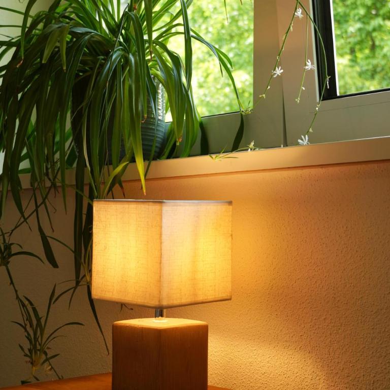 Kempten zentral im Grünen - Apartamento de 3 dormitorios - 19