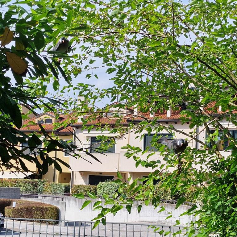 Il Glicine di Marco Polo - Casa con 2 Camere da Letto - 7