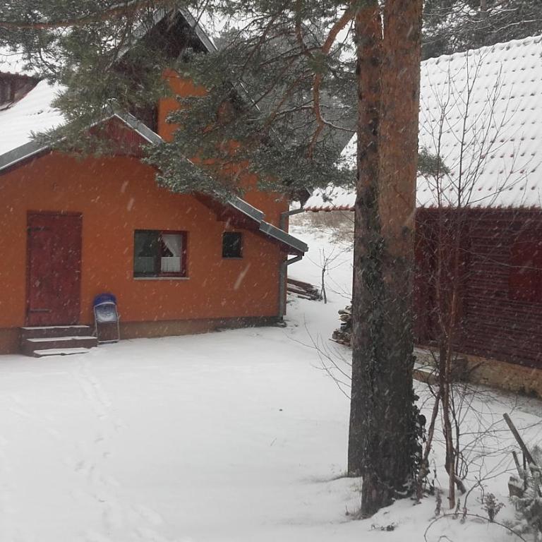 Šumska kuća Nada - Kuća sa 1 Spavaćom Sobom - 10