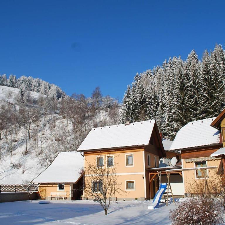 Apartment in Rennweg near Katschberg Ski Area - Apartment mit 2 Schlafzimmern - 17