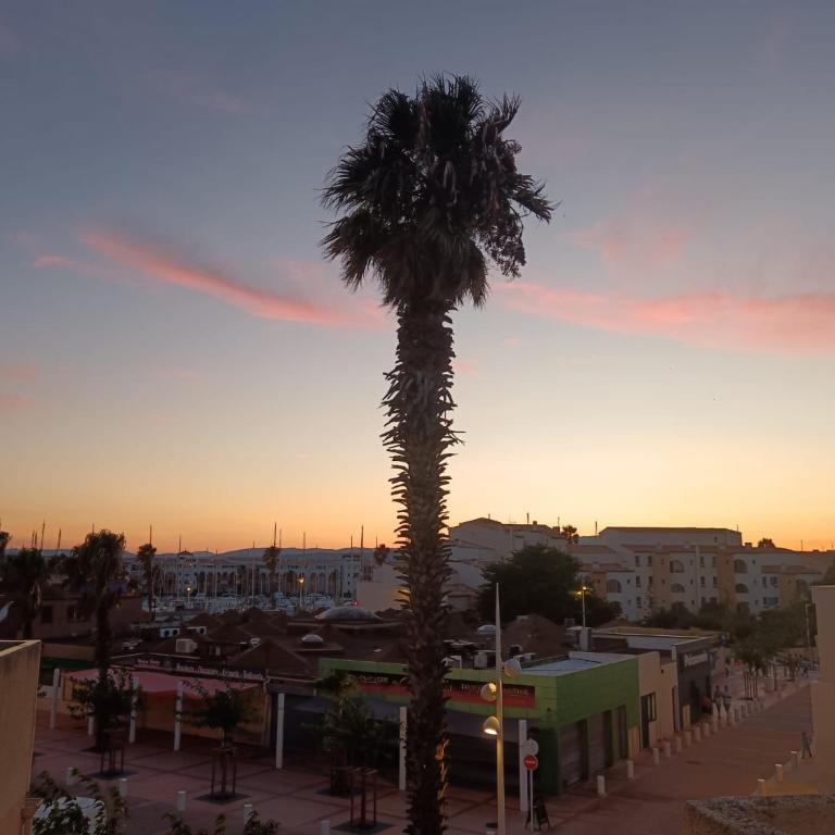 Appartement vue port - Port Leucate - Apartment mit 1 Schlafzimmer - 12